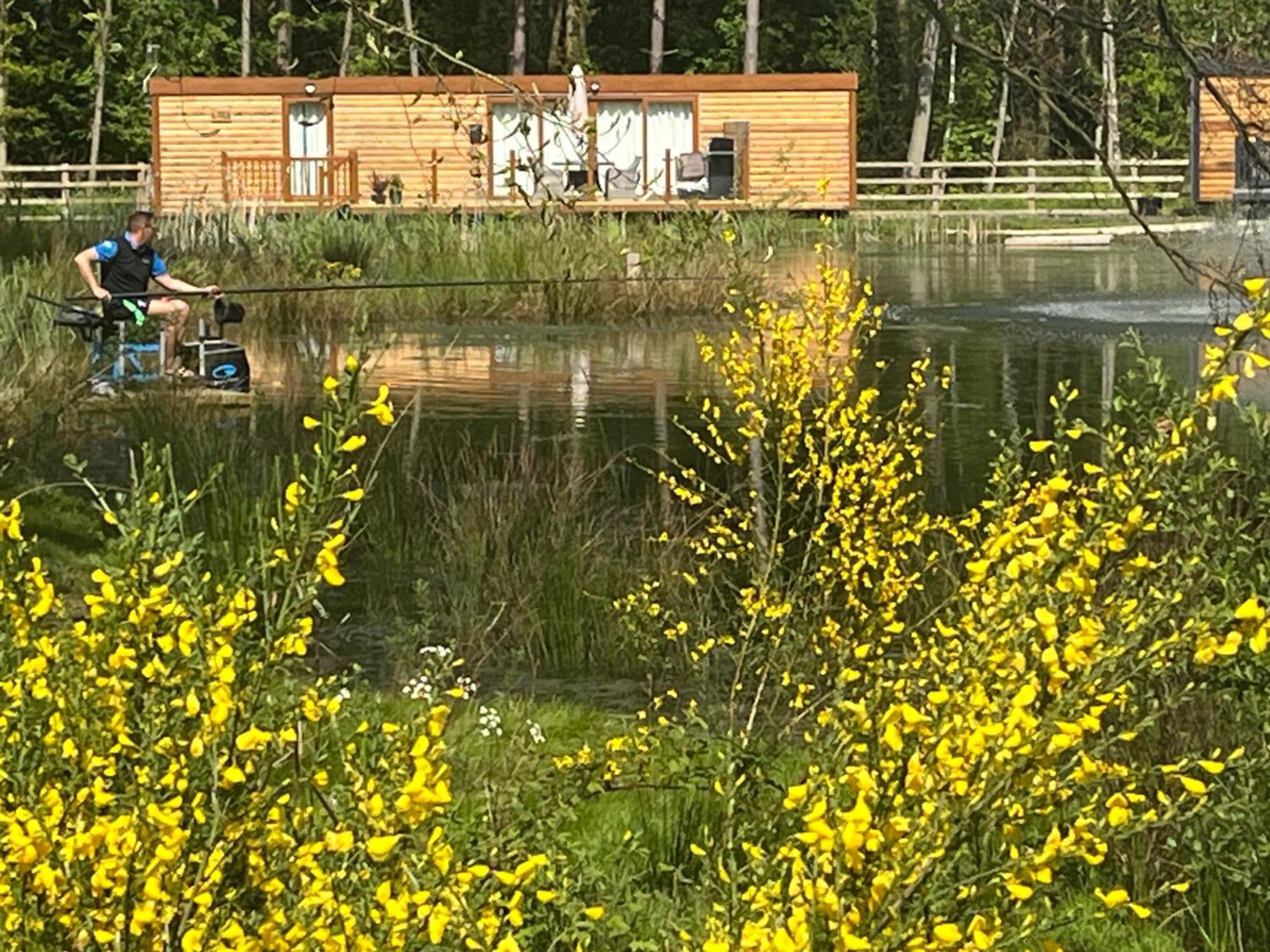 Rowan Boutique Lodge For Couples With A Dog Йорк Экстерьер фото